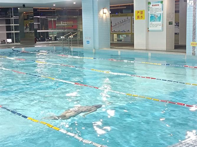 唐山爱尚游泳健身会所-第1张图片-德高鼎泰便民中心