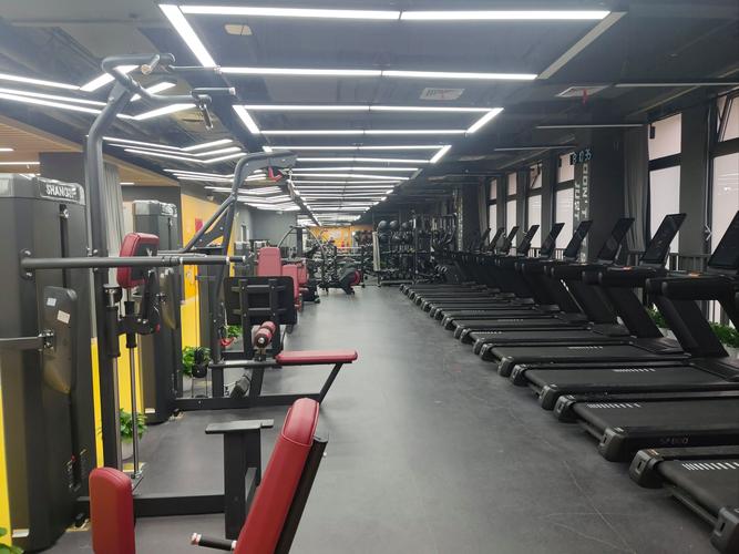 绿动国际健身美容会所有何特色？-第2张图片-德高鼎泰便民中心