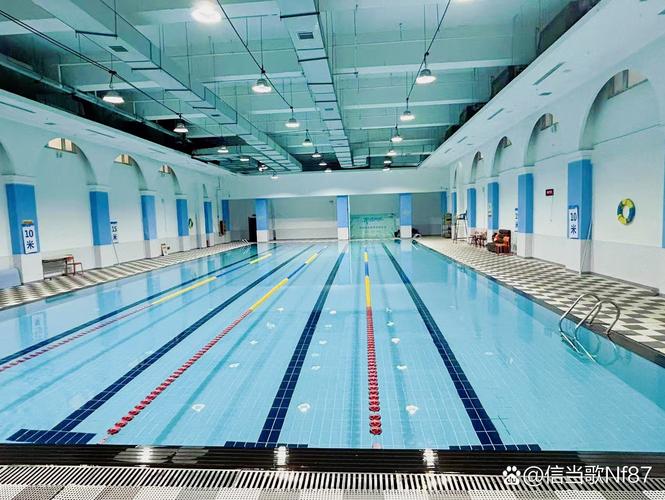 石家庄游泳健身俱乐部哪家好？-第2张图片-德高鼎泰便民中心