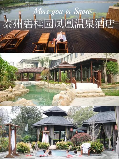 泰州凤凰温泉酒店怎么预订最划算？-第3张图片-德高鼎泰便民中心