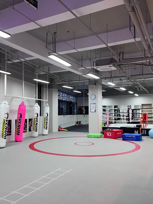 搏击健身俱乐部 海淀-第1张图片-德高鼎泰便民中心