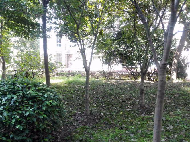 开元新都物业电话是多少？-第2张图片-德高鼎泰便民中心