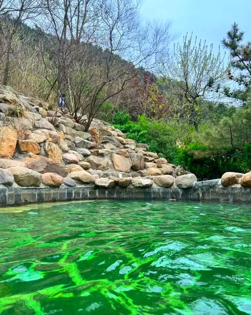 泰安温泉会议酒店怎么预订最优惠？-第1张图片-德高鼎泰便民中心