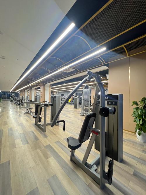 汕头健身房带泳池的有哪些？-第1张图片-德高鼎泰便民中心