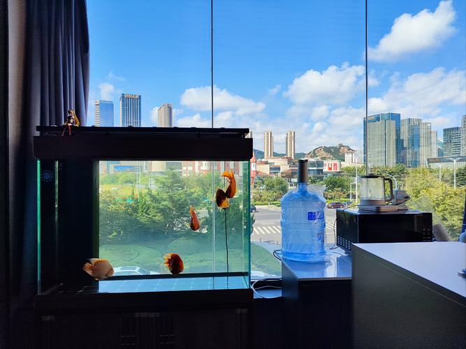 青岛崂山区高端健身房有何特色？-第2张图片-德高鼎泰便民中心