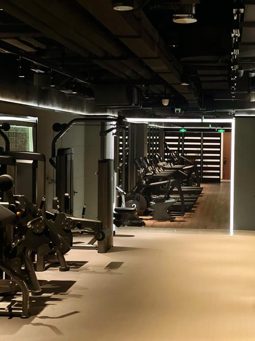 青岛崂山区高端健身房有何特色？-第1张图片-德高鼎泰便民中心