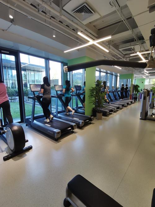 青岛崂山区高端健身房有何特色？-第3张图片-德高鼎泰便民中心