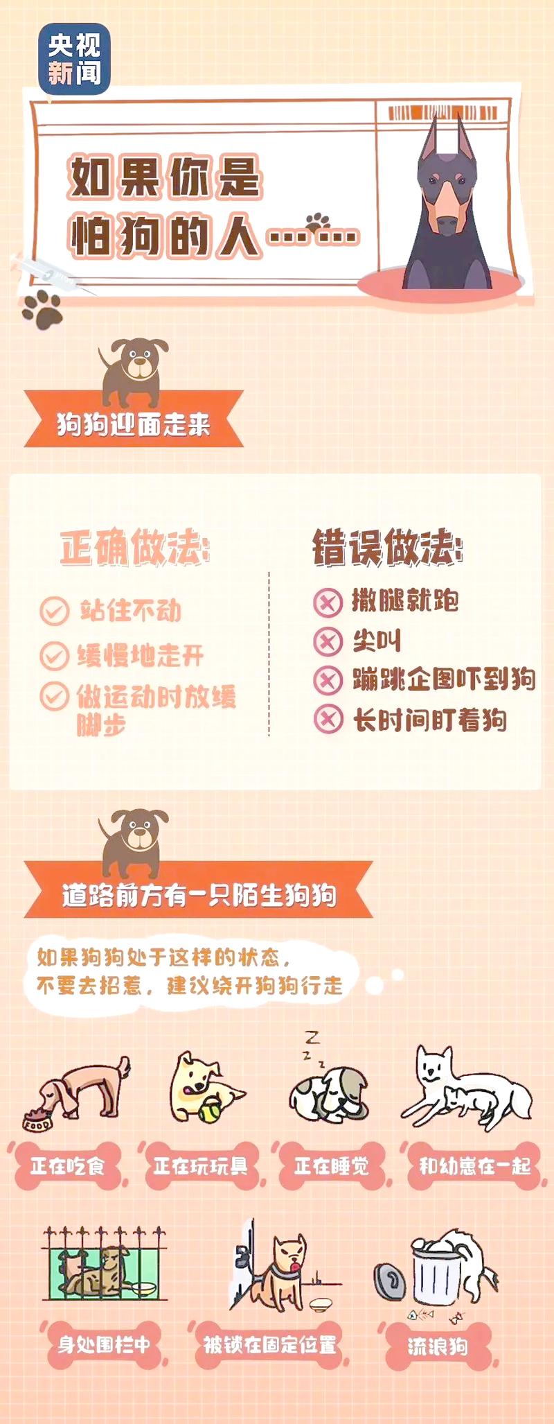 物业小区动物管理如何规范？-第1张图片-德高鼎泰便民中心