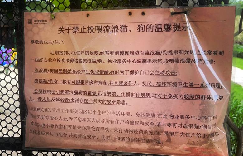 物业小区动物管理如何规范？-第2张图片-德高鼎泰便民中心
