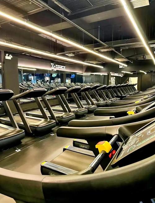 石家庄超越健身房价格多少钱？-第2张图片-德高鼎泰便民中心