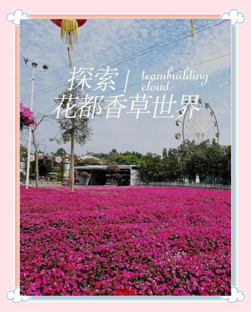 花都香草世界酒店怎么预订最优惠？-第1张图片-德高鼎泰便民中心