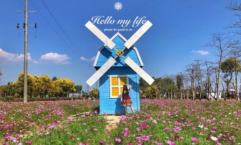 花都香草世界酒店怎么预订最优惠？-第2张图片-德高鼎泰便民中心