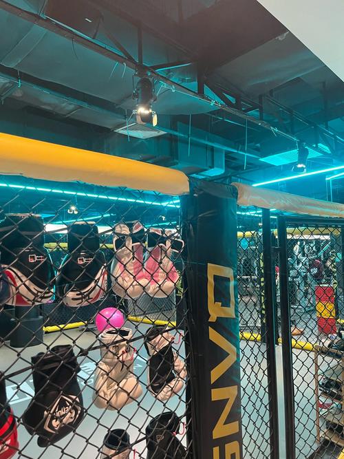 青岛全时健身门店数量是多少？-第1张图片-德高鼎泰便民中心