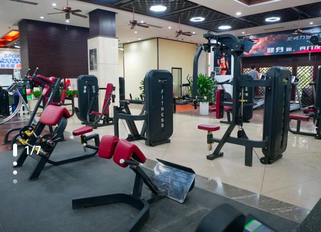 乐迈游泳健身会员价格多少？-第1张图片-德高鼎泰便民中心