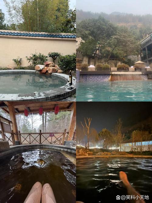 烟台桃源温泉酒店怎么预订最划算？-第2张图片-德高鼎泰便民中心