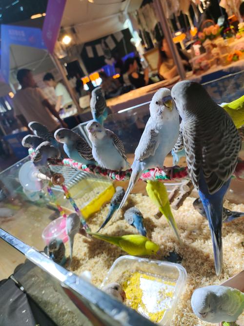 婚宴酒店预订，糊涂鸟怎么选？-第2张图片-德高鼎泰便民中心