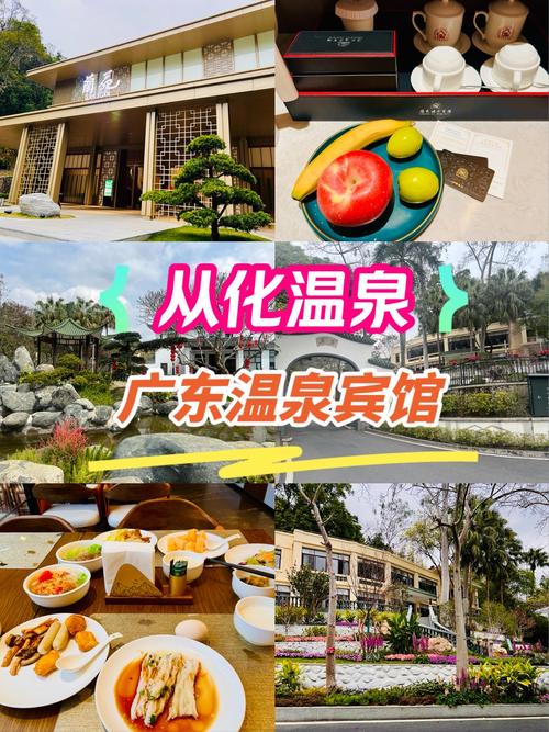 从化金叶温泉酒店怎么预订最优惠？-第1张图片-德高鼎泰便民中心