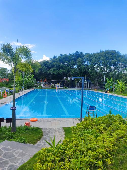 漳州情侣温泉酒店怎么选最划算？-第1张图片-德高鼎泰便民中心