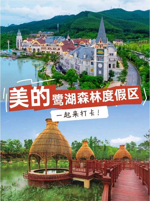 高明汽车营地酒店怎么预订？-第3张图片-德高鼎泰便民中心