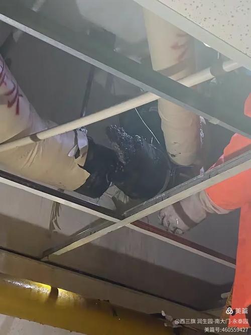 北京金海燕物业服务质量如何？-第3张图片-德高鼎泰便民中心