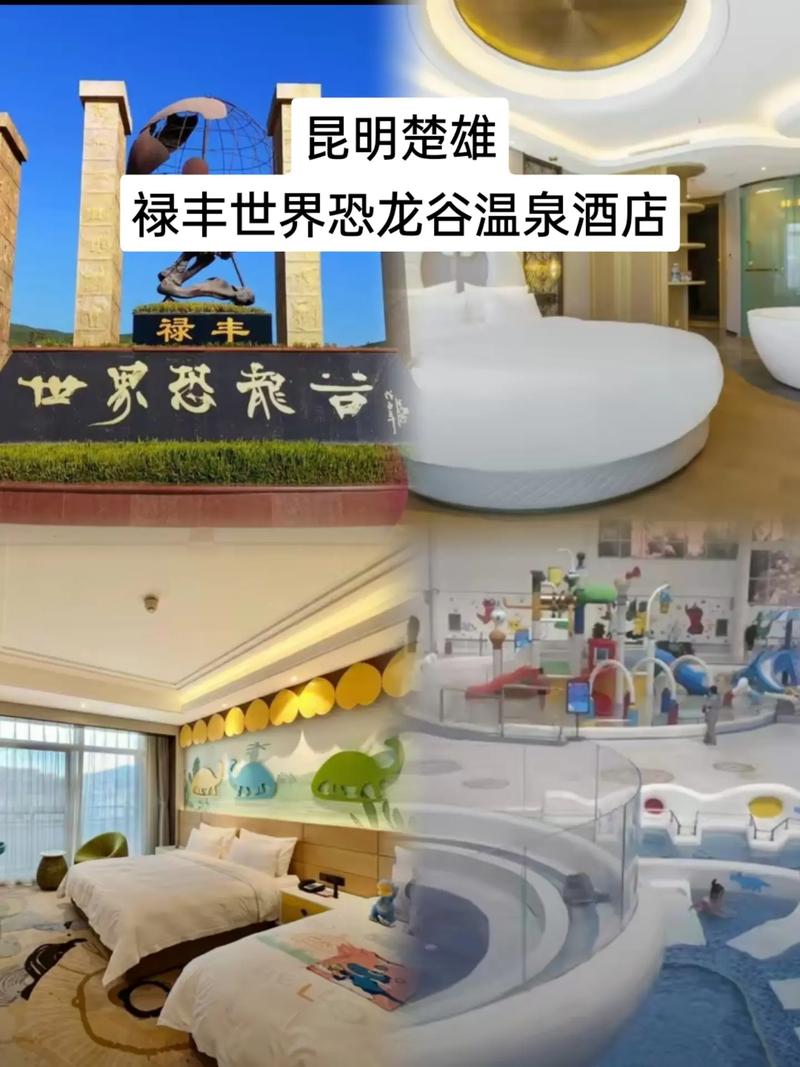 云南楚雄温泉酒店怎么预订最划算？-第1张图片-德高鼎泰便民中心