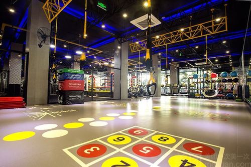 沈阳原动力健身俱乐部靠谱吗？-第3张图片-德高鼎泰便民中心