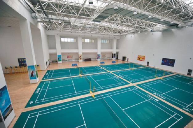 沈阳浑南全民健身中心有何特色功能？-第1张图片-德高鼎泰便民中心