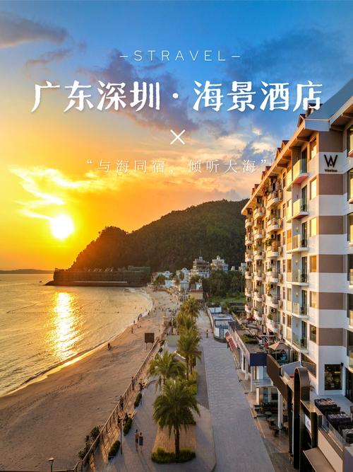 深圳海岸国际酒店预订怎么选最划算？-第1张图片-德高鼎泰便民中心