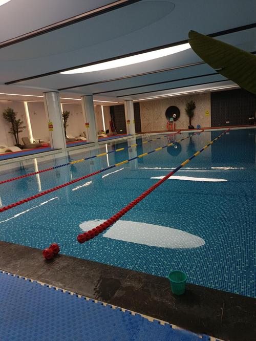 彩虹新城游泳健身会所-第3张图片-德高鼎泰便民中心