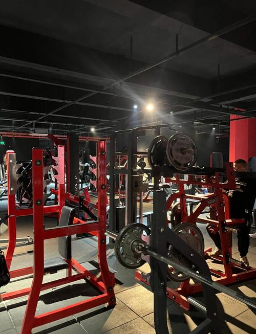 沈阳健身房会员费多少钱一个月？-第1张图片-德高鼎泰便民中心