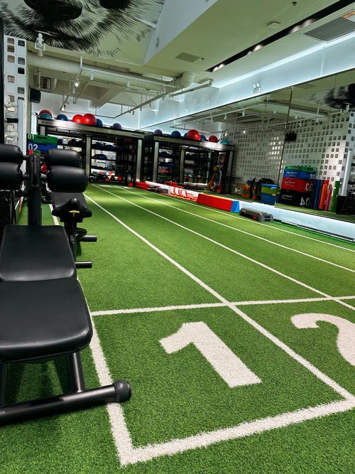 天津空港经济区健身房哪家好？-第1张图片-德高鼎泰便民中心