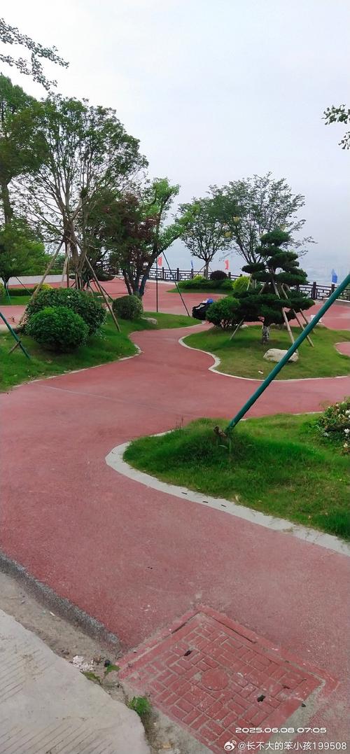 绿地健身游泳馆沿路秀的是什么？-第1张图片-德高鼎泰便民中心