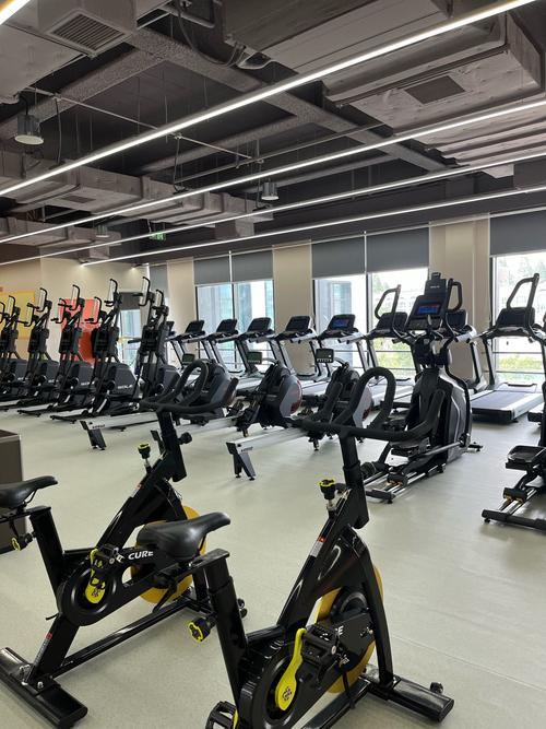 上海大学附近健身房怎么选？-第1张图片-德高鼎泰便民中心