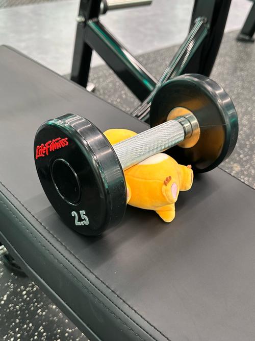 胶州英睿健身价格多少？-第2张图片-德高鼎泰便民中心