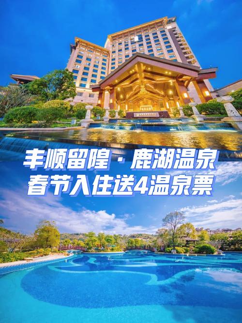 丰顺国际温泉酒店怎么预订最优惠？-第3张图片-德高鼎泰便民中心