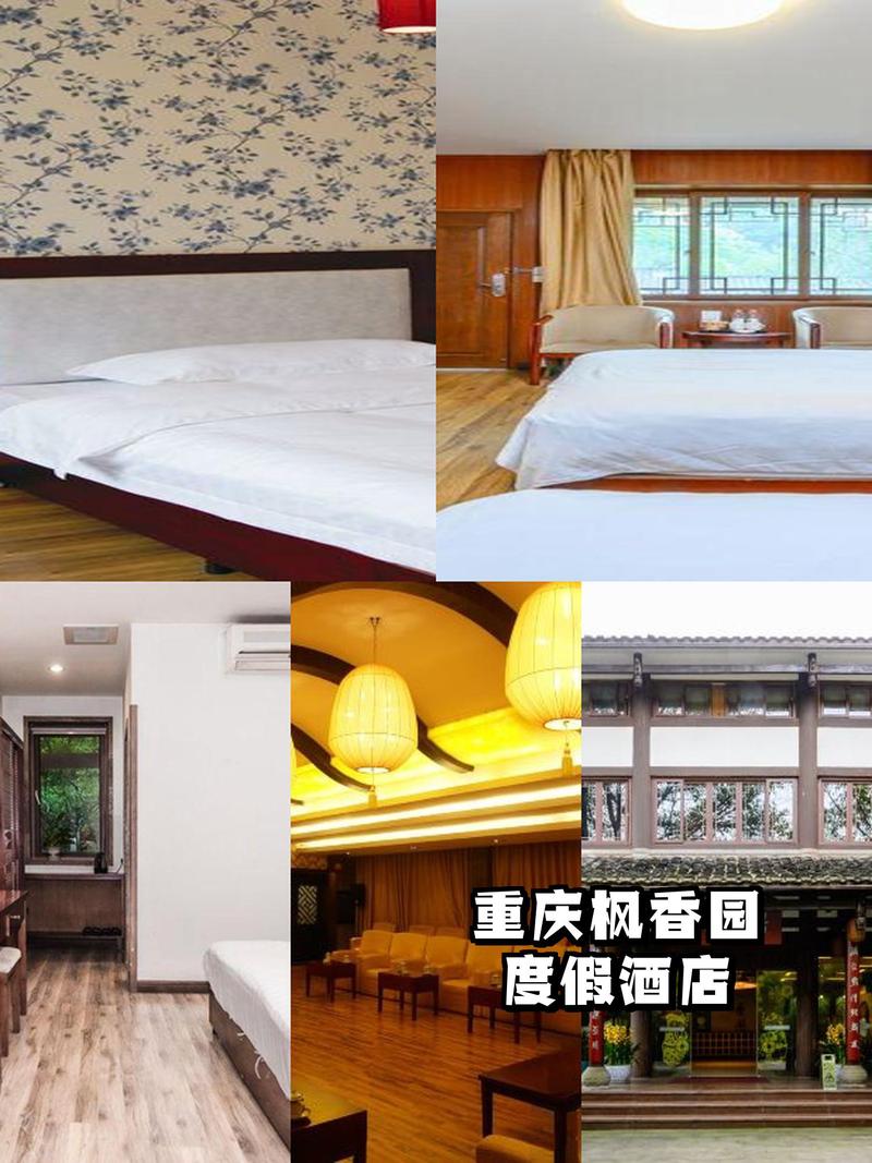 重庆学府家园酒店怎么预订最优惠？-第3张图片-德高鼎泰便民中心