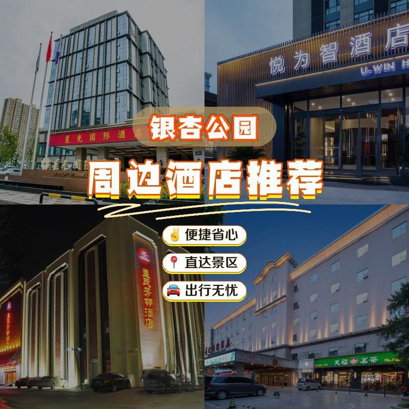 大同星光国际酒店怎么预订最优惠？-第2张图片-德高鼎泰便民中心