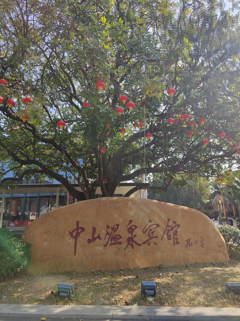 中山温泉公寓酒店怎么预订？-第1张图片-德高鼎泰便民中心