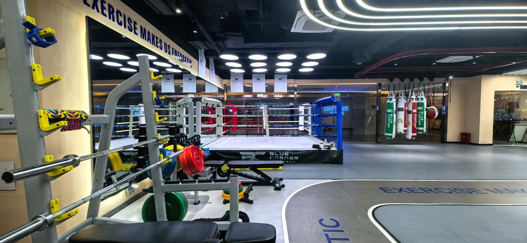 南京全民健身中心拳击怎么学？-第3张图片-德高鼎泰便民中心