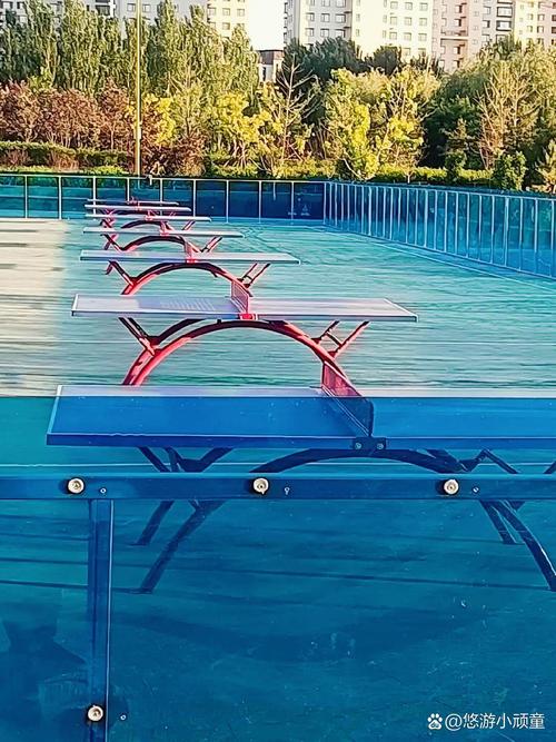 朝阳体育健身休闲公园有何特色？-第2张图片-德高鼎泰便民中心