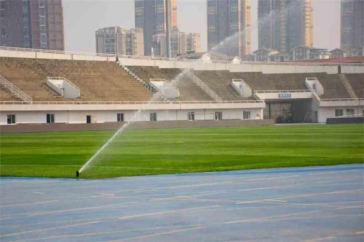 中南财经政法大学健身设施如何？-第2张图片-德高鼎泰便民中心