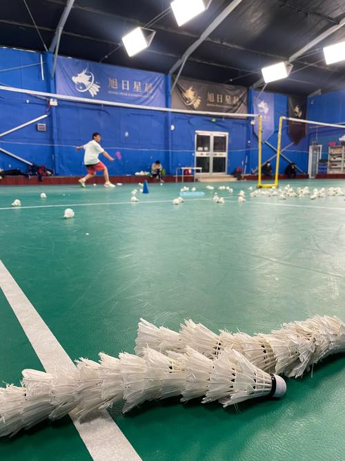 京体健身中心羽毛球怎么样？-第2张图片-德高鼎泰便民中心
