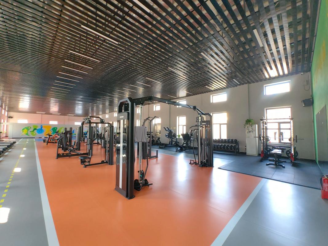 秦皇岛赛奥健身价格是多少？-第2张图片-德高鼎泰便民中心
