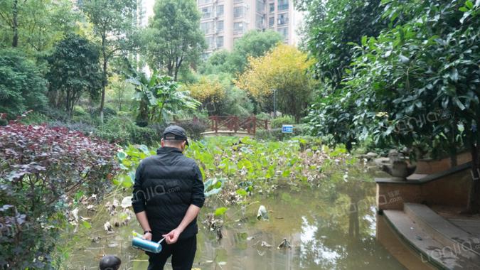 湖南华欣物业有限公司怎么样？-第2张图片-德高鼎泰便民中心