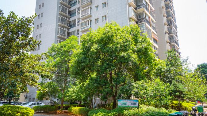 湖南华欣物业有限公司怎么样？-第3张图片-德高鼎泰便民中心