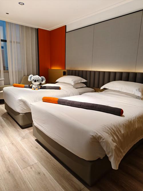 长沙时尚公寓酒店怎么选？预订有哪些技巧？-第3张图片-德高鼎泰便民中心