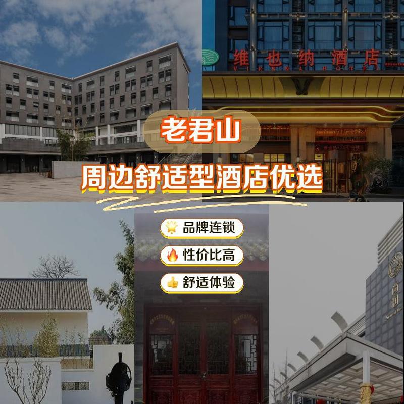 北京老树主题酒店预订，怎么选最地道？-第2张图片-德高鼎泰便民中心