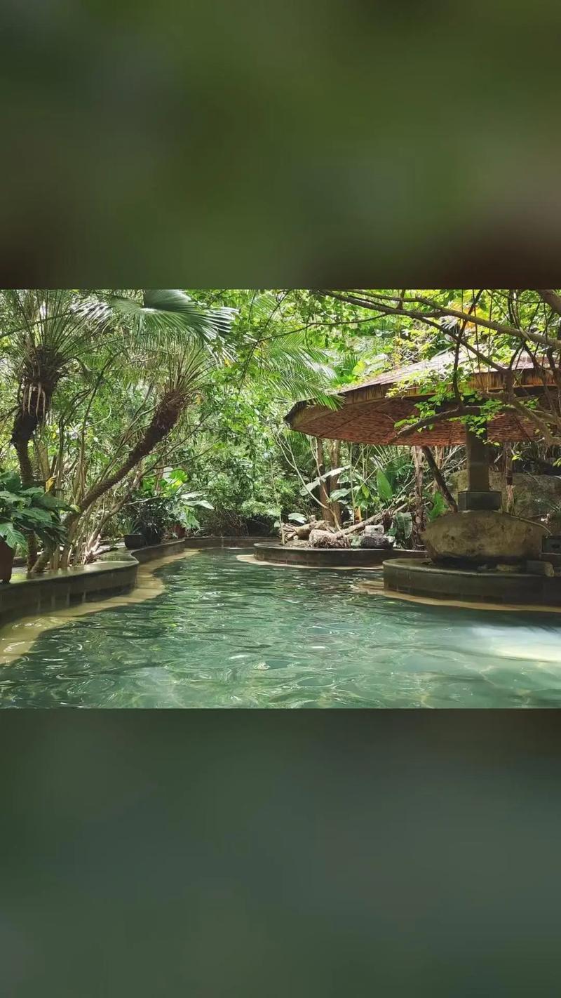 云南莲花温泉酒店怎么预订最划算？-第1张图片-德高鼎泰便民中心