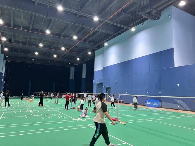 全民健身中心羽毛球怎么预约？-第1张图片-德高鼎泰便民中心
