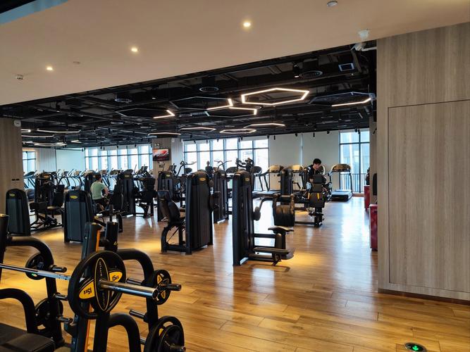 威尔士健身房在上海有何独特之处？-第2张图片-德高鼎泰便民中心